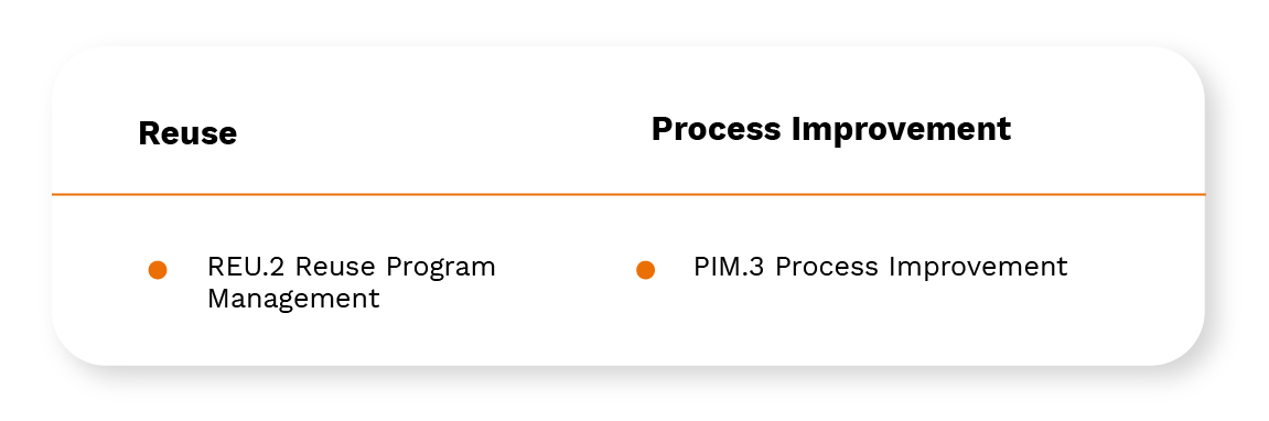 Reuse and Process Improvement Processes